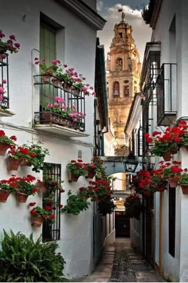 Apto Con Patio Y Barbacoa Bbq H De La Reina Córdoba Exteriér fotografie